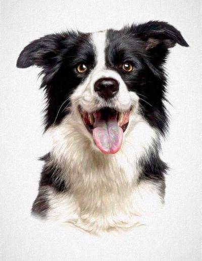 Border Collie - pawesome art