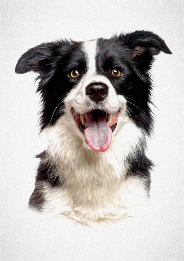 Border Collie - pawesome art