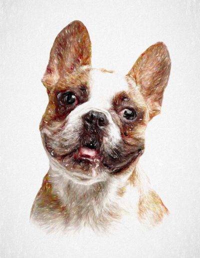 French Bulldog - pawesome art