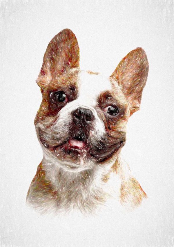 French Bulldog - pawesome art